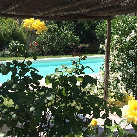 Agriturismo Lupo Vecchio โกรเซตโต ภายนอก รูปภาพ