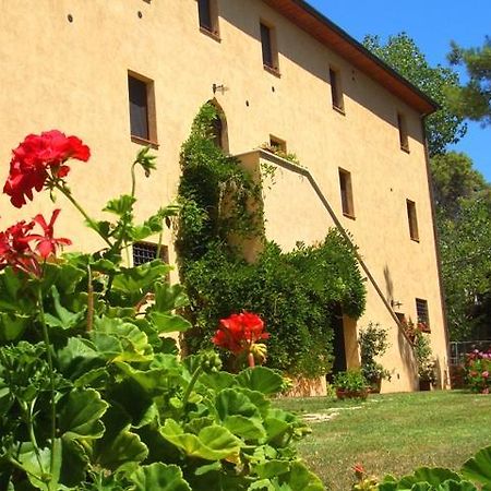 Agriturismo Lupo Vecchio โกรเซตโต ภายนอก รูปภาพ