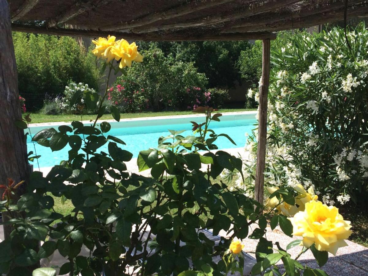 Agriturismo Lupo Vecchio โกรเซตโต ภายนอก รูปภาพ