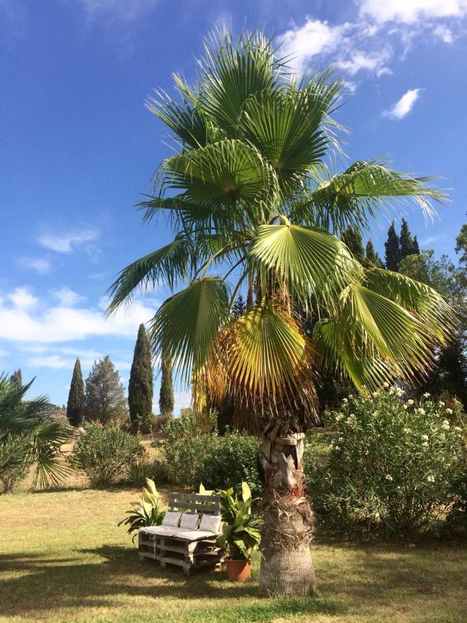Agriturismo Lupo Vecchio โกรเซตโต ภายนอก รูปภาพ