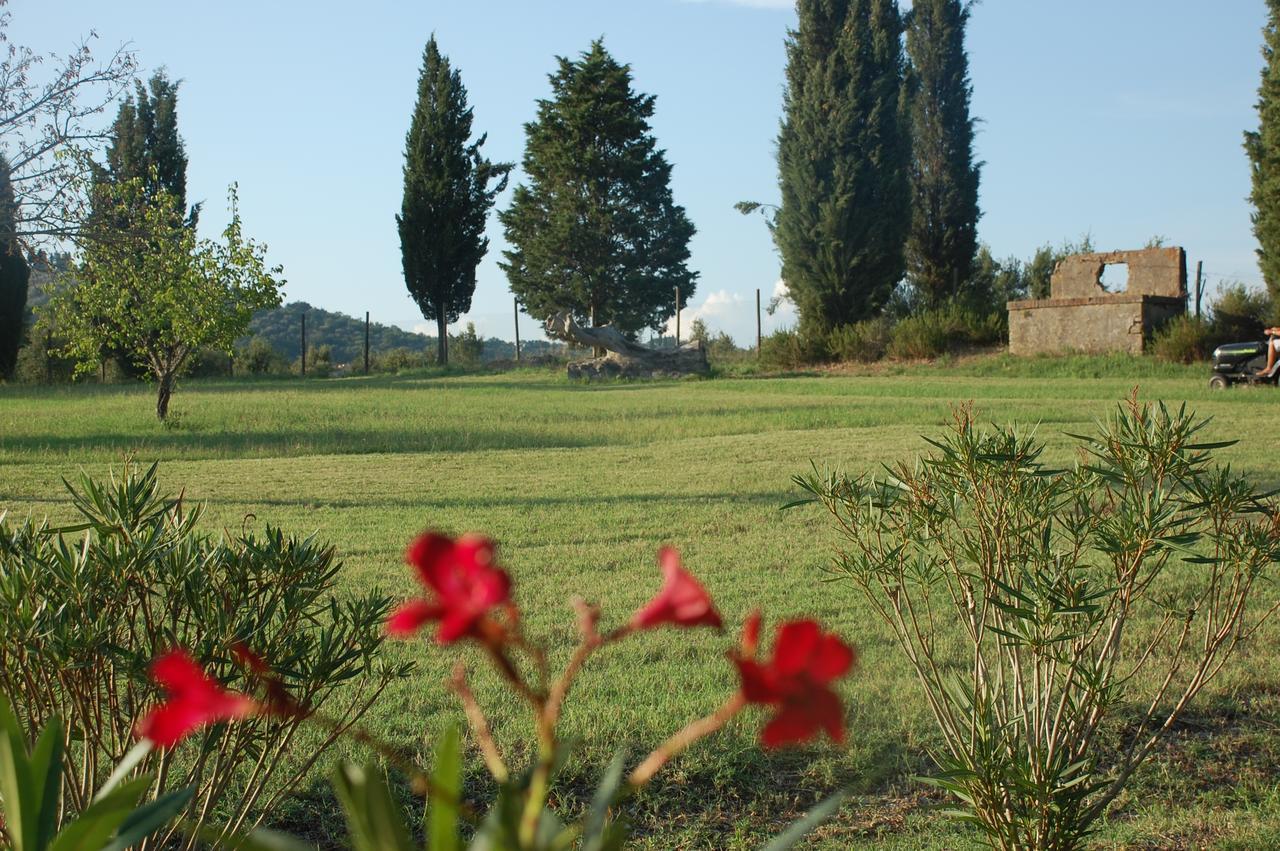 Agriturismo Lupo Vecchio โกรเซตโต ภายนอก รูปภาพ