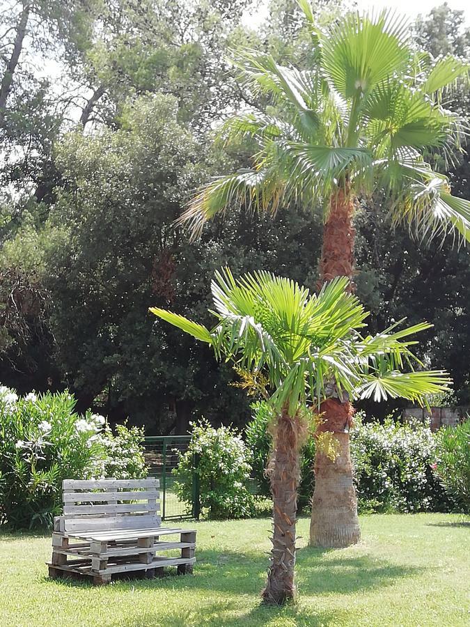 Agriturismo Lupo Vecchio โกรเซตโต ภายนอก รูปภาพ