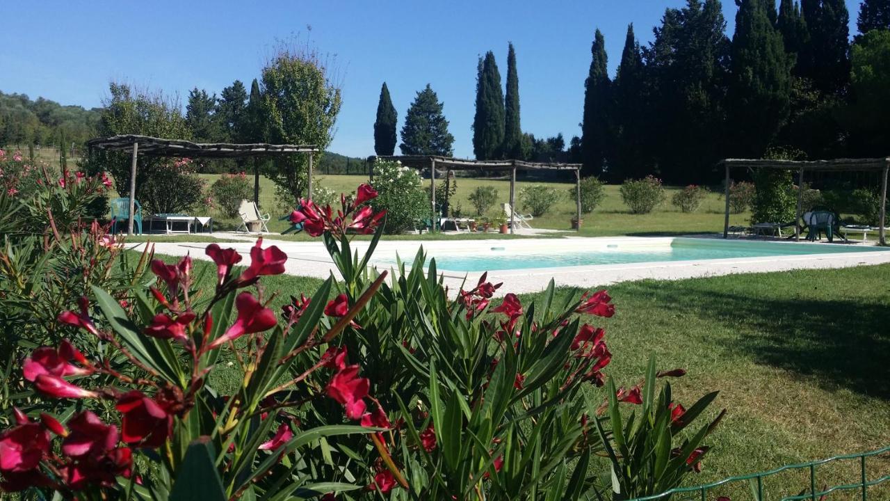 Agriturismo Lupo Vecchio โกรเซตโต ภายนอก รูปภาพ