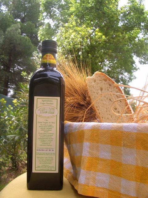 Agriturismo Lupo Vecchio โกรเซตโต ภายนอก รูปภาพ