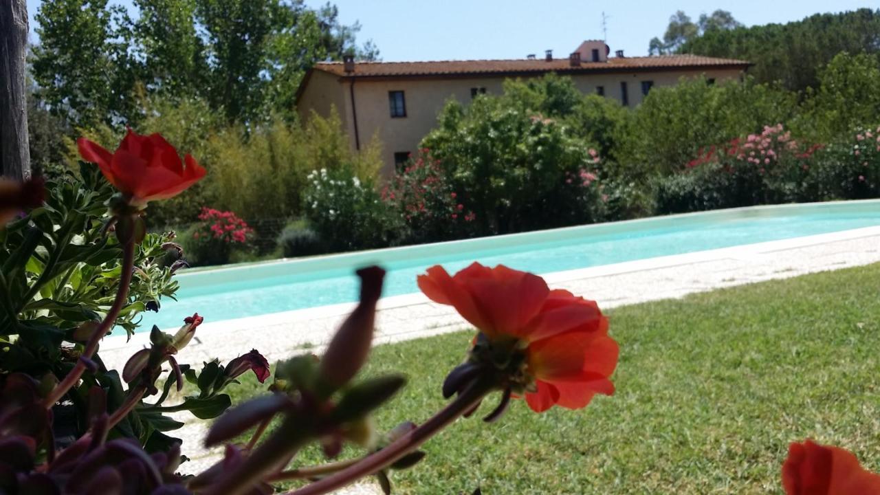 Agriturismo Lupo Vecchio โกรเซตโต ภายนอก รูปภาพ