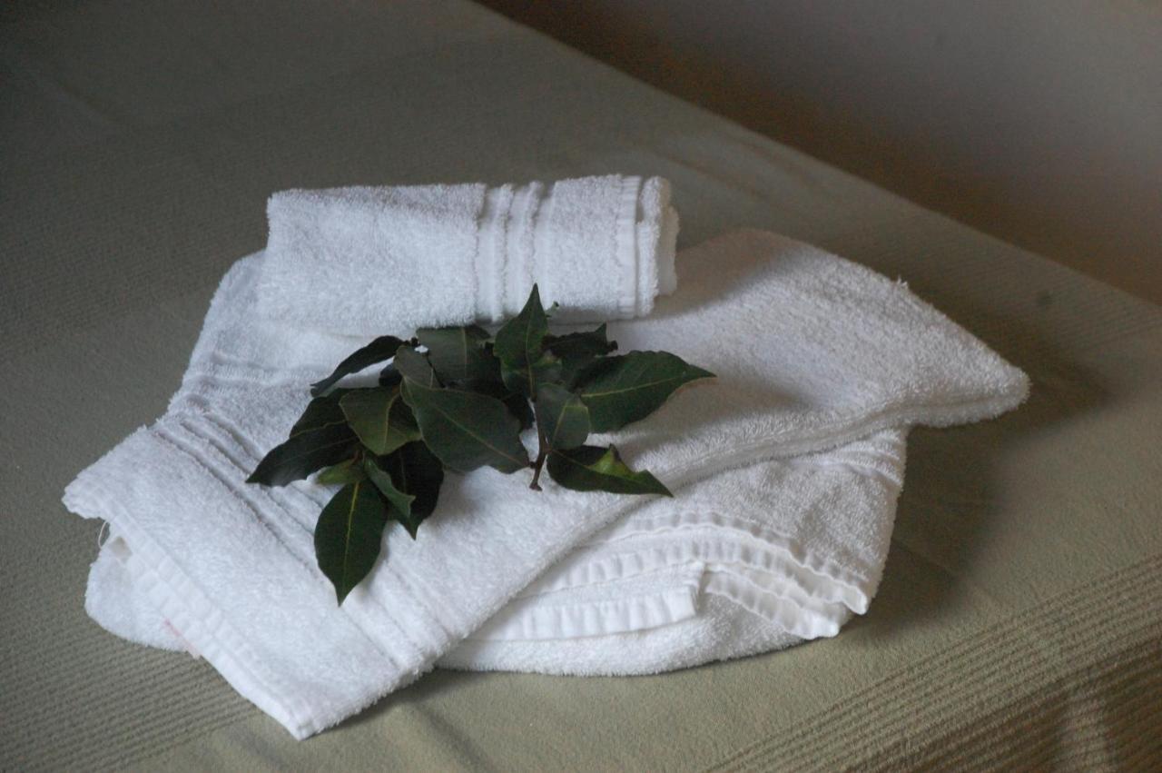 Agriturismo Lupo Vecchio โกรเซตโต ภายนอก รูปภาพ