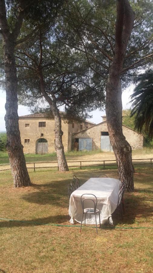 Agriturismo Lupo Vecchio โกรเซตโต ภายนอก รูปภาพ